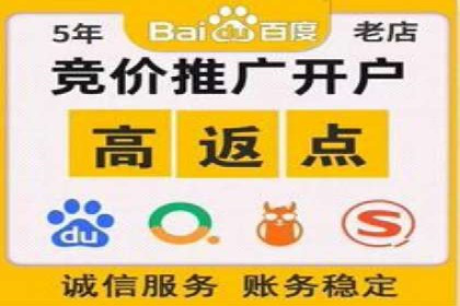 网站sem托管助力企业快速崛起